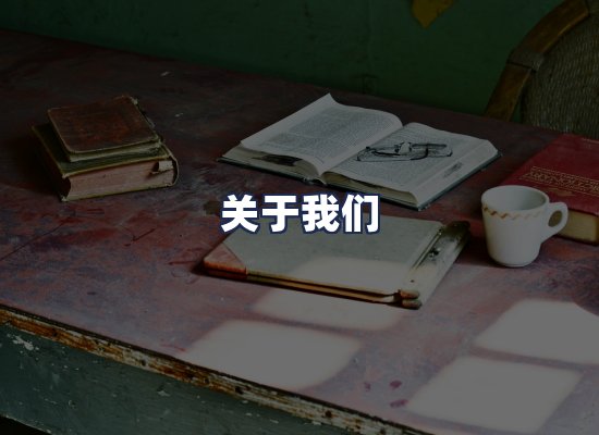 关于我们